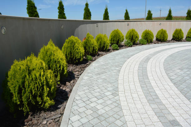 Best Affordable Driveway Paving  in Rochester, IL